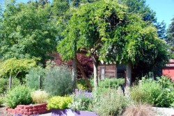 záhradná chatka