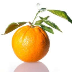 pomaranc