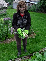 biele reďkovky
