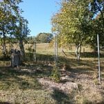 Ako opraviť pletivo starého plota